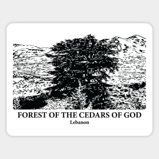 Forest of the Cedars of God - Lebanon Magnet